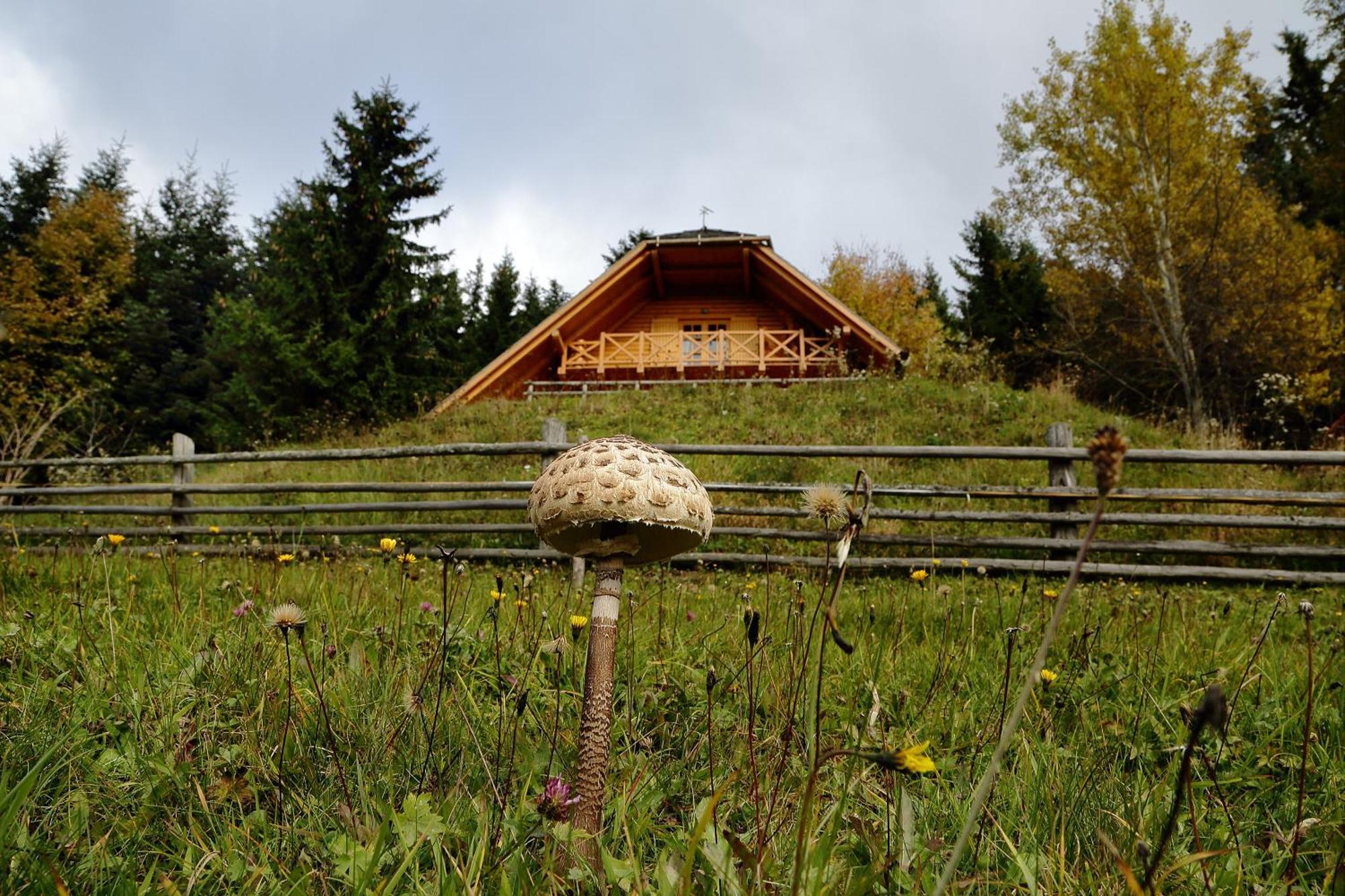 Charming Chalet Rogla Hudinja Kültér fotó
